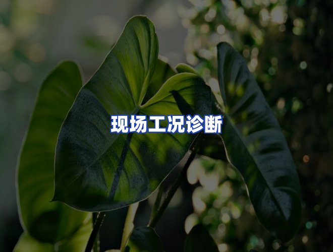 服务优势